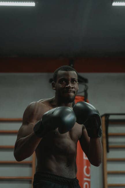 A Boxer Ready to Fight Pose