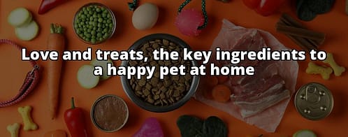 Must-Have: Pets at Home Dog Treats for Happy Tail Wags