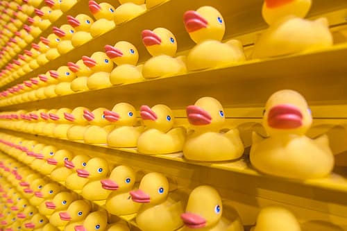 rubber ducks on yellow shelves
