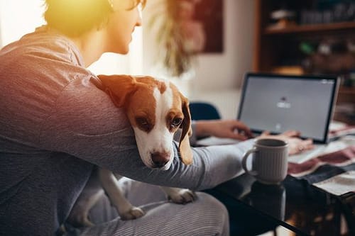 young man cuddling with his dog while drinking morning coffee and using laptop in his kitchen