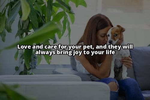 Building Strong Bonds with Pets You Love