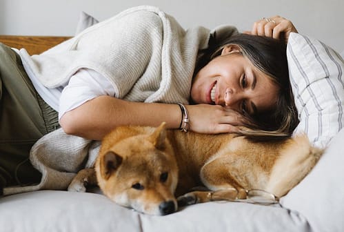 Cheerful brunette in comfy wear embracing fluffy adorable Shiba Inu dog while lying together on cozy