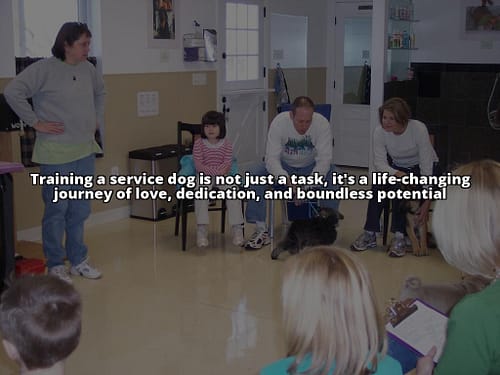 Service Dog Information: Your Guide to Rights & Training
