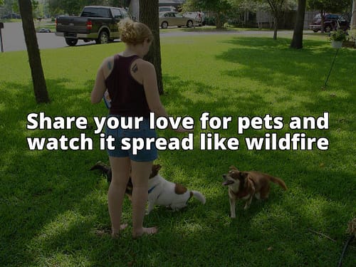 Share My Pet 101: The Complete Guide to Pet Sharing and Care