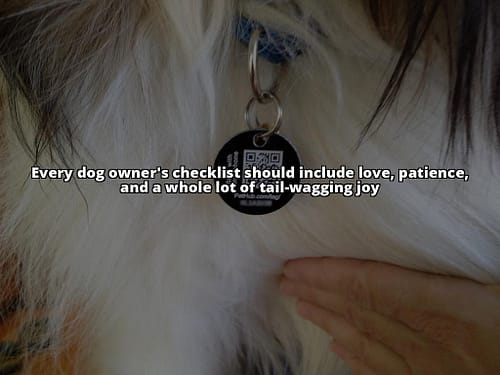Essential Supplies for Dog Owners: Your Complete Checklist