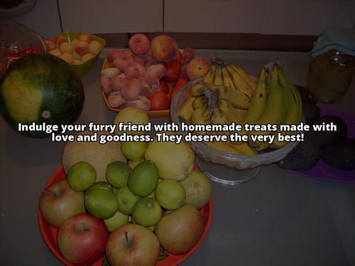 Spoil Your Fur Baby with Healthy, Homemade Treats