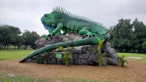 Green Iguana Sculpture Park  Stock Photo, Image