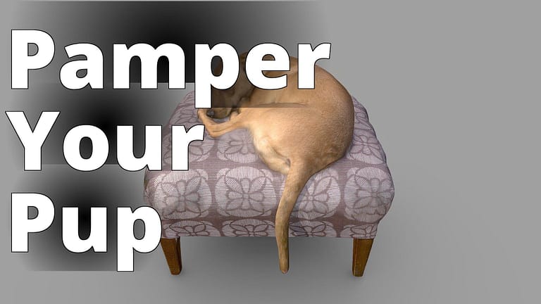 Lucy Dog Color 3D Scan - a dog is sleeping on a chair