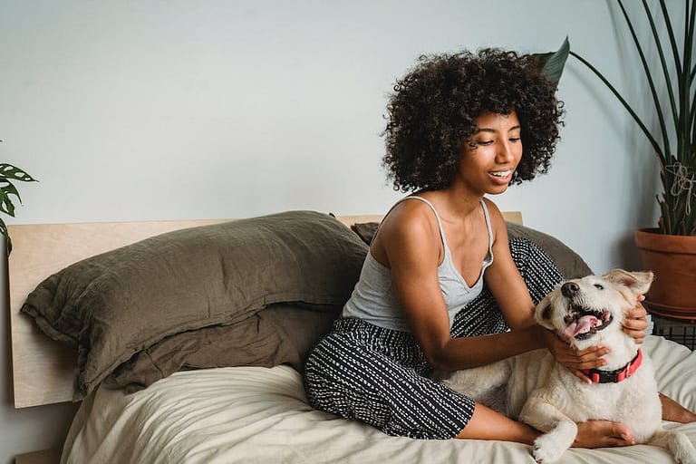 Smiling African American woman with curly hair resting on soft bed and stroking obedient dog in bedr