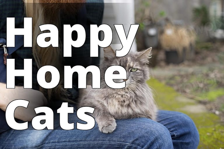 Maine coon cat image - a woman sitting on a bench holding a cat
