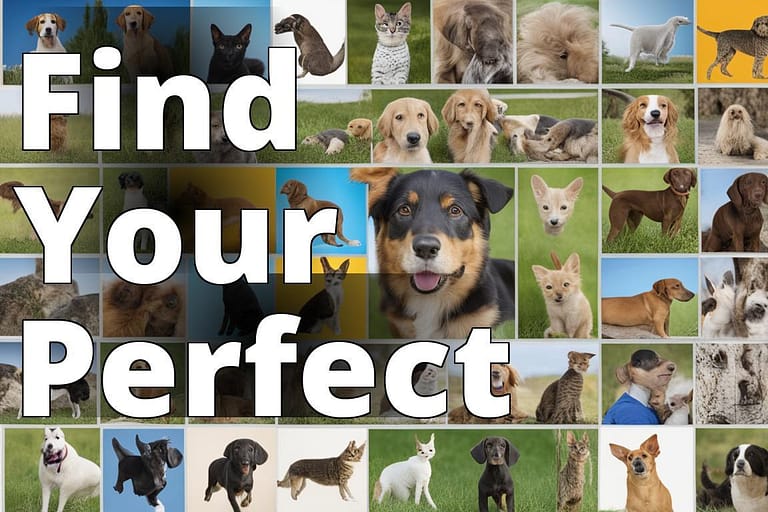 The featured image should contain a collage of various pets such as dogs