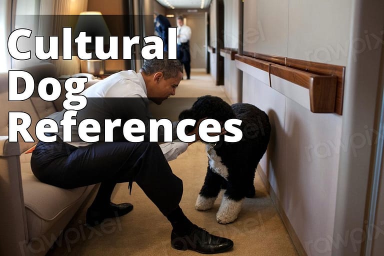 President Barack Obama plays with Bo - president obama petting a dog in the oval room of the white h