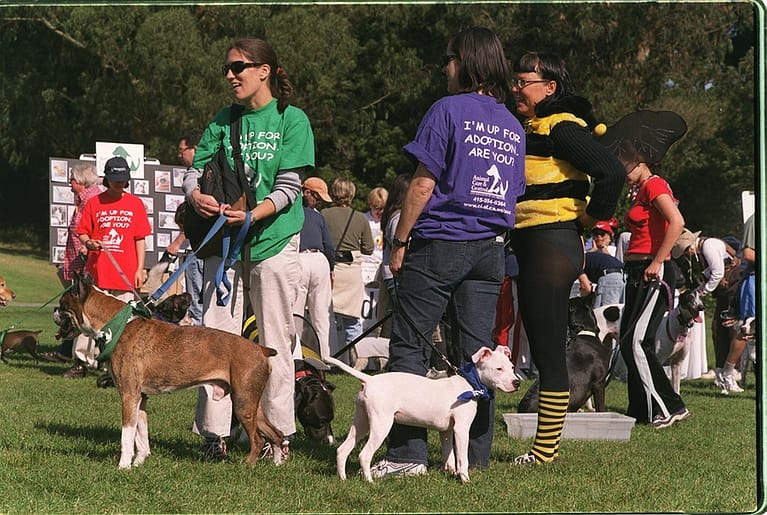 File:VOLUNTEERs from SF Animal Care and Control at Pet Pride Day, 2002.jpg - Image of Pet care, A ha