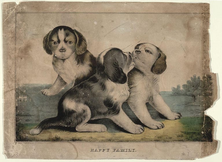 two pup pup, one is a puppy - Happy Family, Smithsonian National Museum