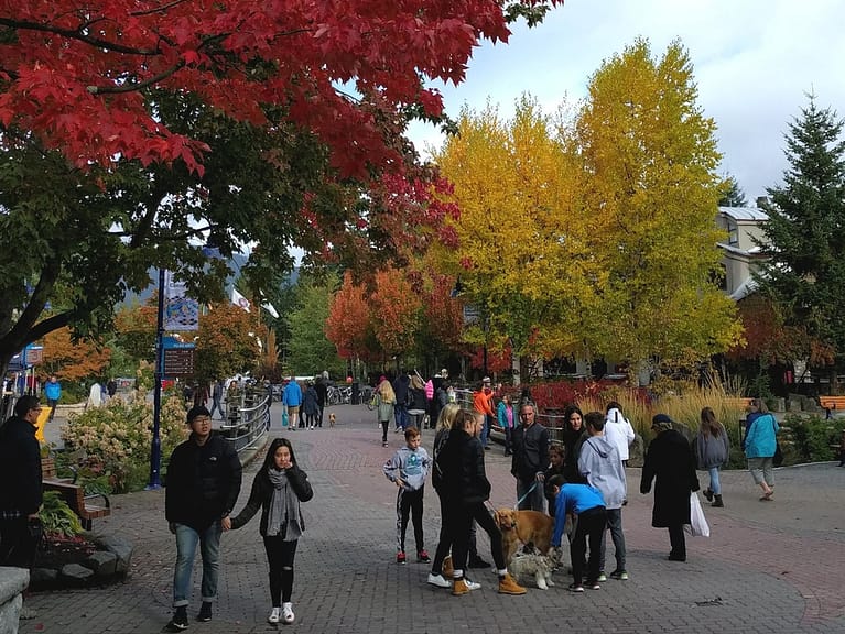File:Autumn colours and plenty of dogs to pet (37560004544).jpg - a man in a blue jacket