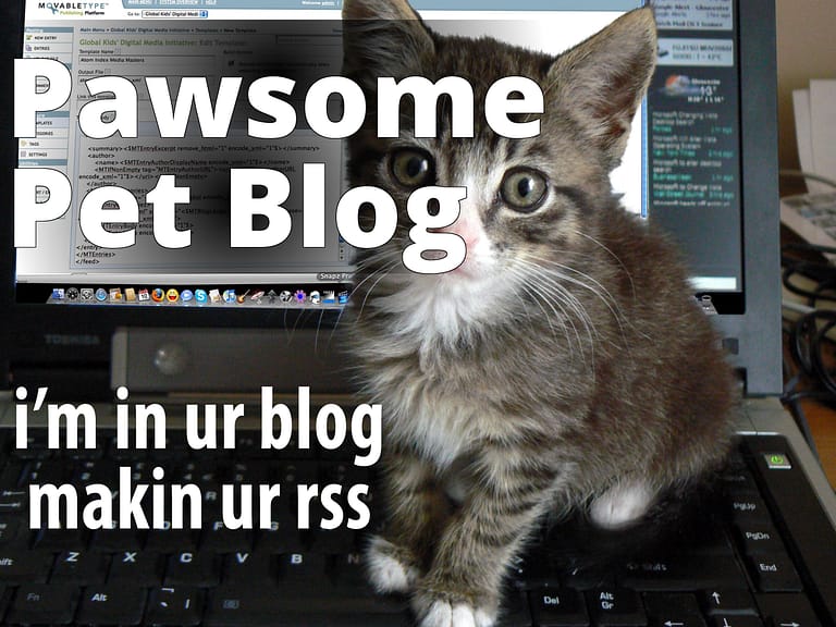 I'm in ur blog makin ur rss (lolcat) - a cat is sitting on a laptop computer