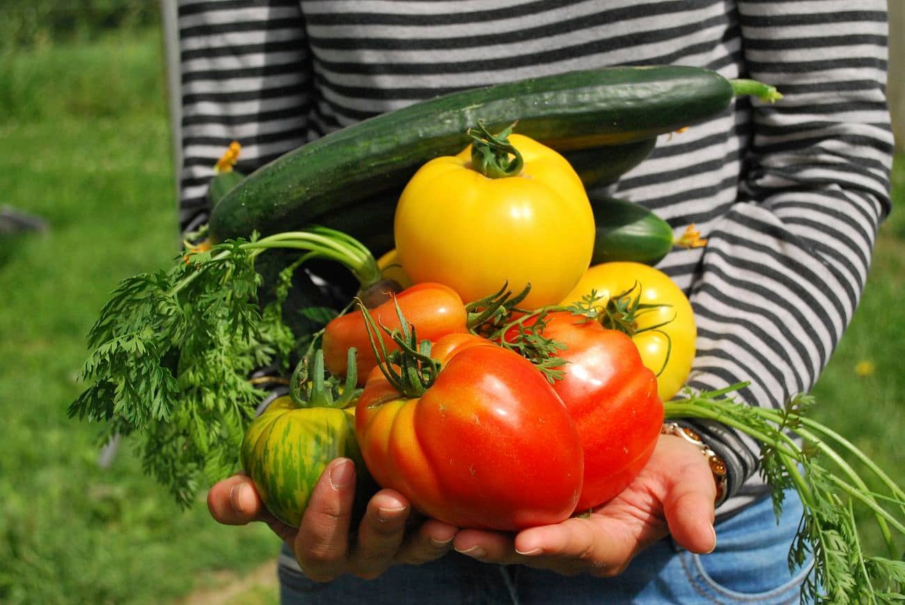 Free person holding different vegetables