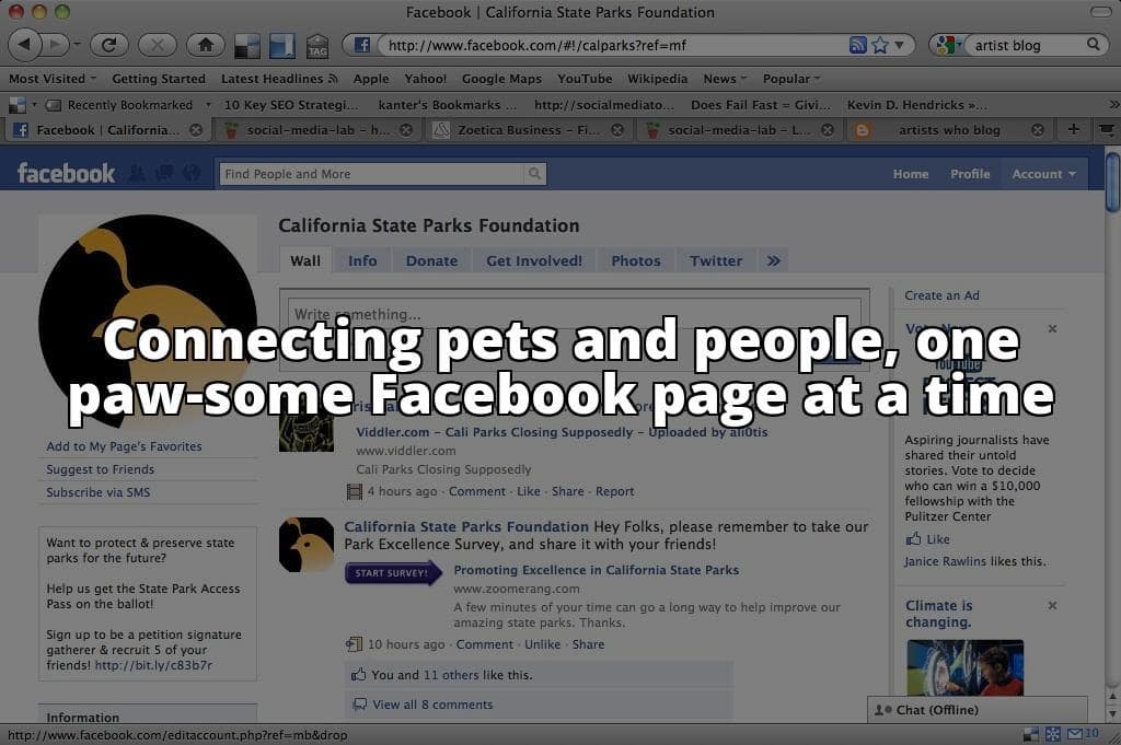 Pet Facebook 101: The Essential Guide to Building a Pet-Loving Community