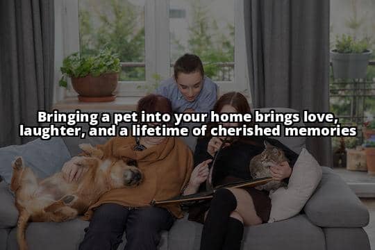 Top 10 Amazing Pets You Can Have at Home