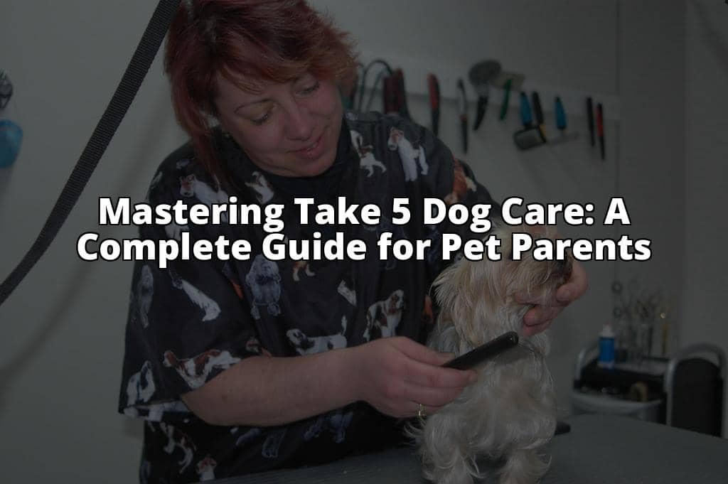 Mastering Take 5 Dog Care: A Complete Guide for Pet Parents