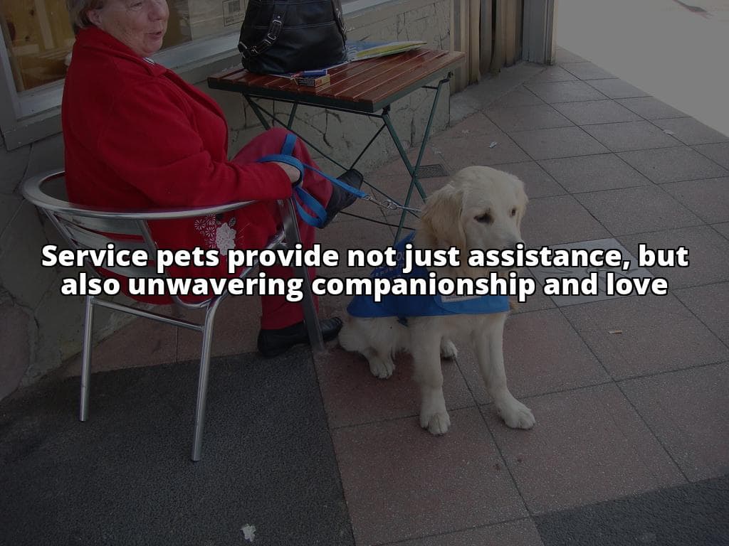 Your Essential Guide to Service Pets: Rights and Responsibilities